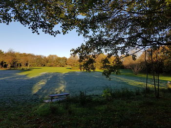 Empty bench on field by trees against sky