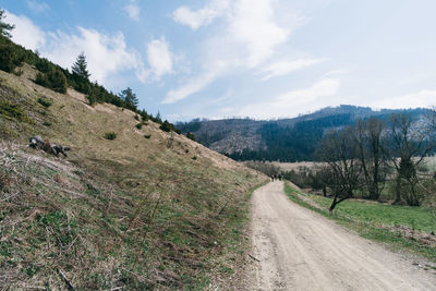 Scenic view of road amidst trees against sky