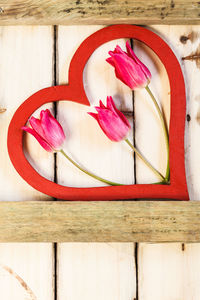 Directly above shot of red rose on table