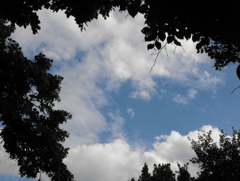 Low angle view of tree against cloudy sky