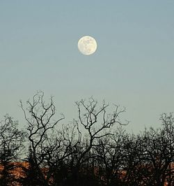 Low angle view of moon in sky