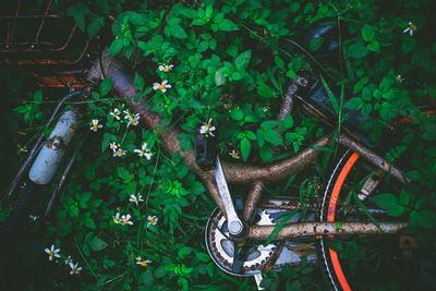 High angle view of abandoned motorcycle amidst trees in yard