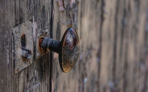 Close-up of metal door