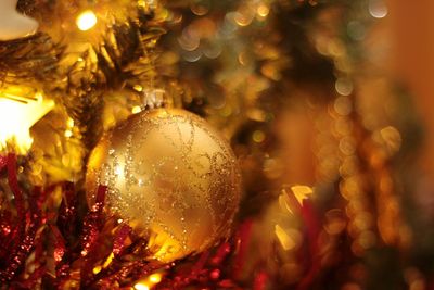 Close-up of illuminated christmas tree