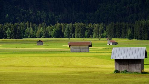 Scenic view of field against trees and plants