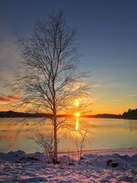 Silhouette bare tree by sea against sky during sunset