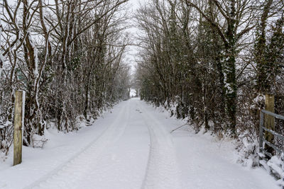 Snow covered road amidst trees during winter