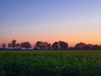 Scenic view of field against sky during sunset