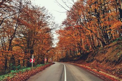 Road amidst trees during autumn