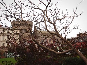 Bare trees and buildings against sky