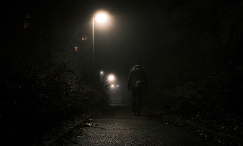 Rear view of person walking on street at night