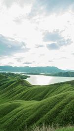 Grassland and lake