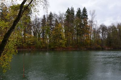 Scenic view of lake in forest against sky