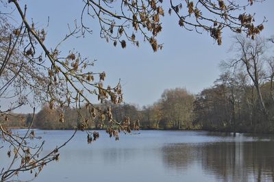 Scenic view of lake against clear sky