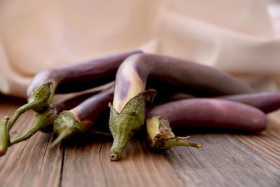 Close-up of lizard on table