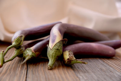 Cropped hand of person holding plant