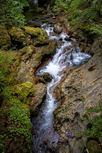 Stream flowing through rocks in forest