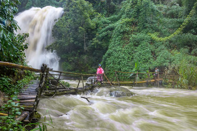 Scenic view of waterfall in forest