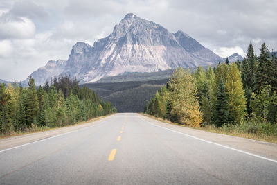 Deserted alpine highway leading to the prominent mountain in the background, jasper np, canada