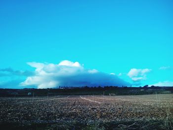 Scenic view of landscape against blue sky