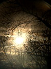 Close-up of bare tree against sunset