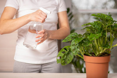 Close-up cropped shot of unrecognizable young woman florist spraying water on houseplants 