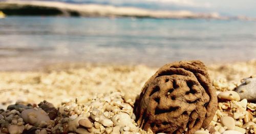 Close-up of pebbles on beach