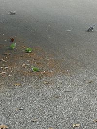 High angle view of wet street