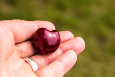 Close-up of hand holding fruit