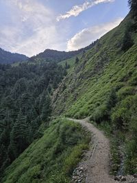 nature
