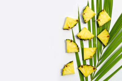 Close-up of fruits against white background