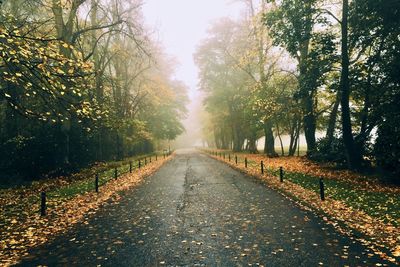 Road amidst trees during autumn