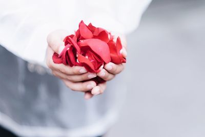 Close-up of hand holding red rose