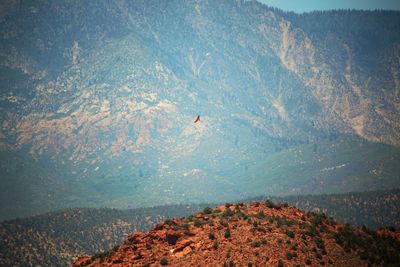 Distant view of bird flying against mountains