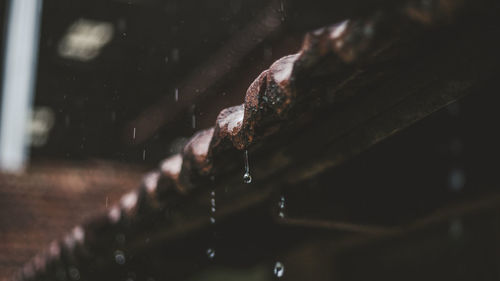 Close-up of wet spider web on rusty metal