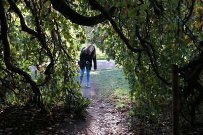 Rear view of woman standing amidst trees in forest