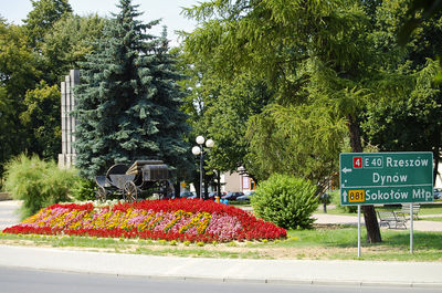 View of text on road against plants in park