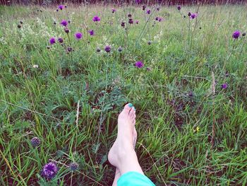 Low section of woman walking on grassy field