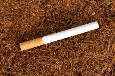 High angle view of cigarette on grassy field