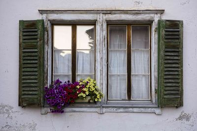 Flower pots on window of building