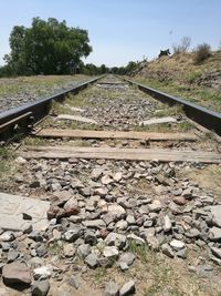 Railroad tracks amidst trees against sky