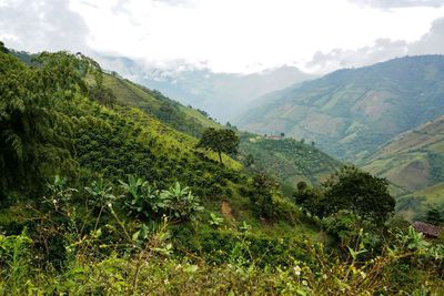 Scenic view of green landscape and mountains against sky