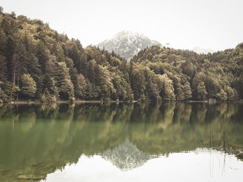 Scenic view of lake by trees against clear sky