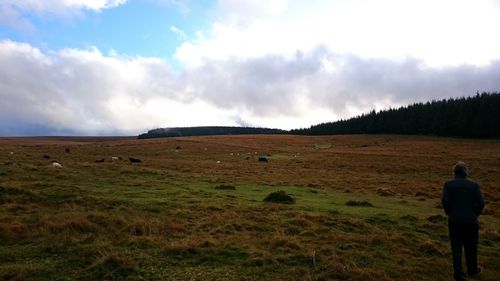 Rear view of horse on field against sky