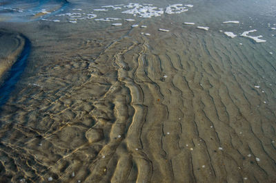 Scenic view of beach