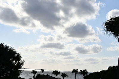 Low angle view of silhouette trees against sky