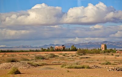 Scenic view of agricultural field against sky