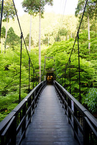 Footbridge amidst trees in forest