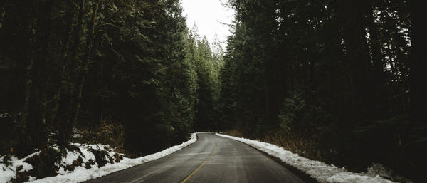 Empty road amidst trees in forest during winter