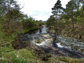 Scenic view of waterfall in forest against sky